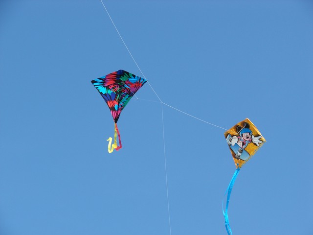 DSC06398.JPG