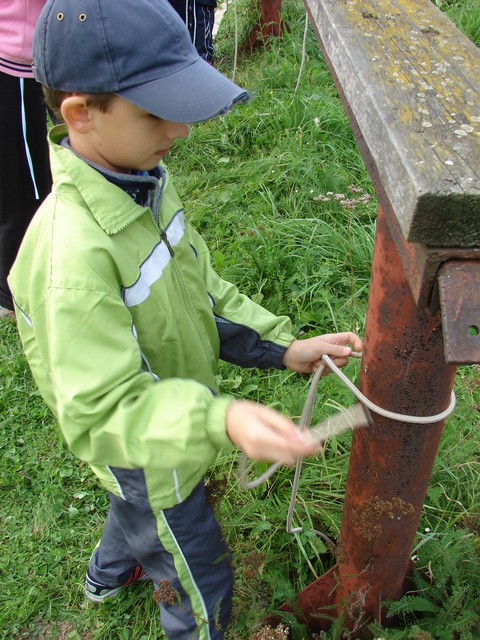 DSC06325.JPG