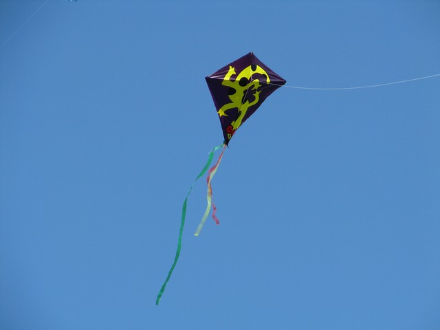 IMG_4361.JPG