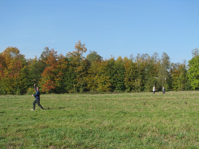 IMG_4378.JPG