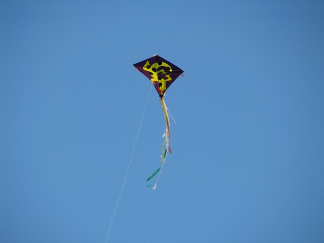 IMG_4379.JPG