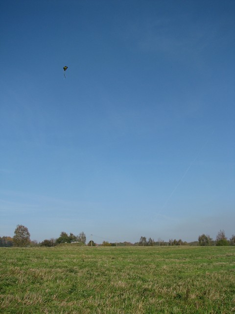 IMG_4403.JPG