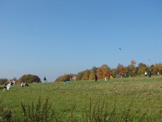 DSC06392.JPG